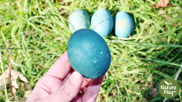 Eggcellent Easter Crafts