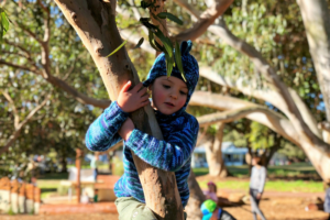 a child in a tree