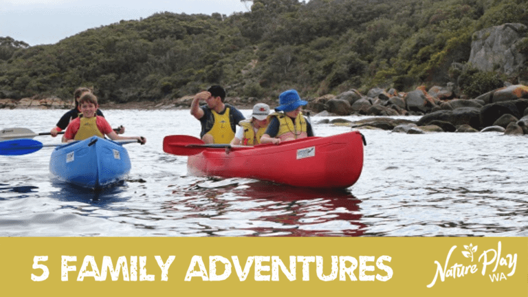 Five Family Adventures