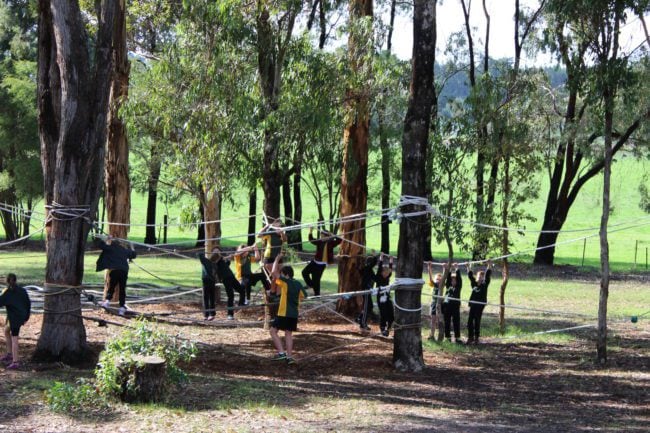 East Manjimup PS Case Study 01 Kids climb and play on ropes that have been strung between tall trees low to the ground.