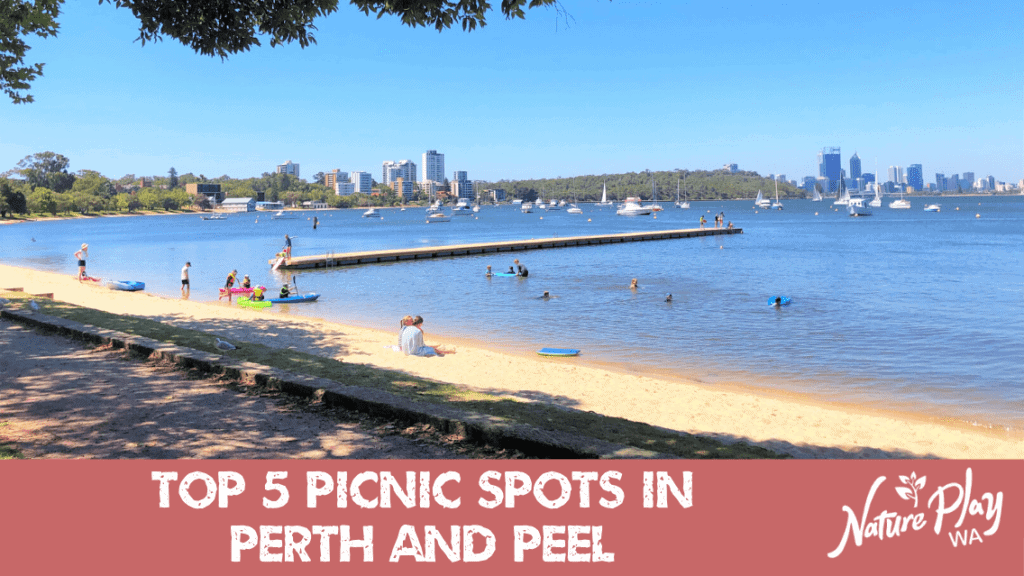 Top 5 Picnic and Play Spots in Perth and Peel Nature Play WA