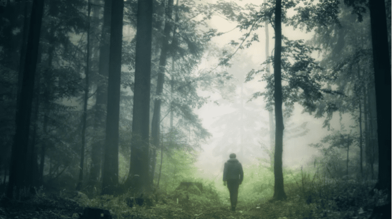 Big smile, small self: Awe walks promote prosocial positive emotions in older adults.