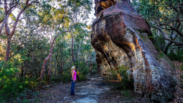 In search of features that constitute an “enriched environment” in humans: Associations between geographical properties and brain structure