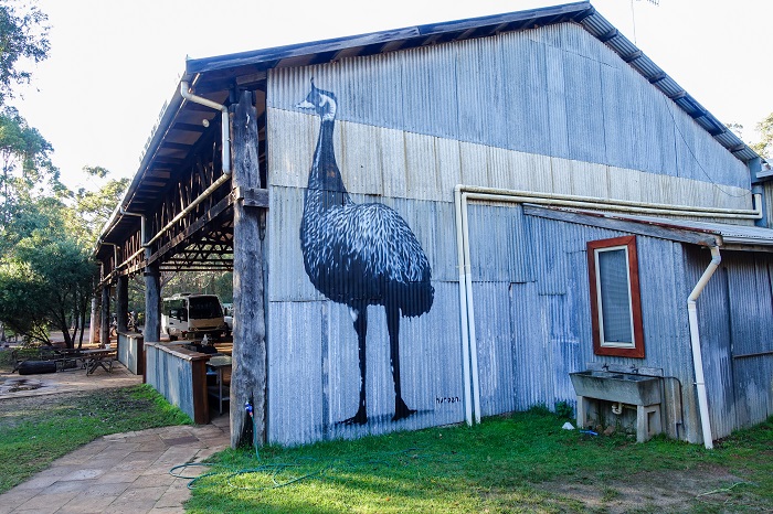 camp kitchen shed with emu mural