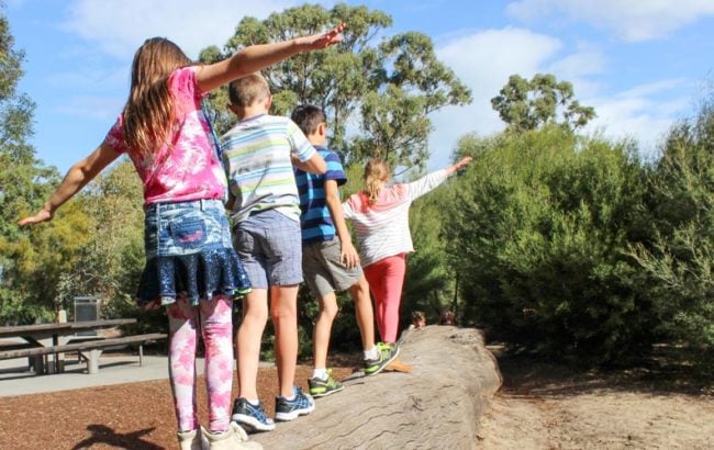 four children facing away from camera, balancing on a large horizontal tree trunk