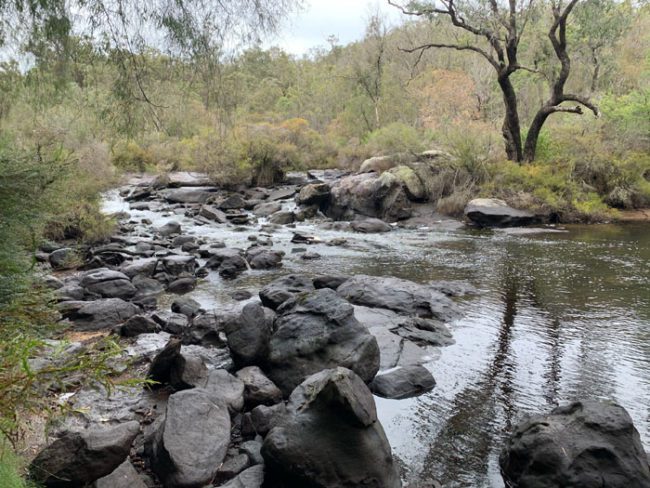 Collie Camping Among Best in WA