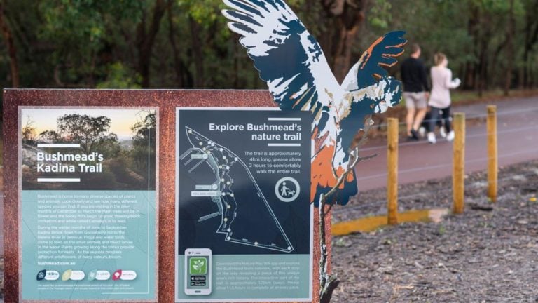 Bush trails highlight history
