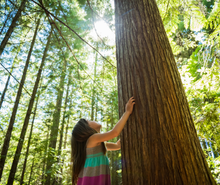 Assessing the association between lifetime exposure to greenspace and early childhood development and the mediation effects of air pollution and noise in Canada: a population-based birth cohort study