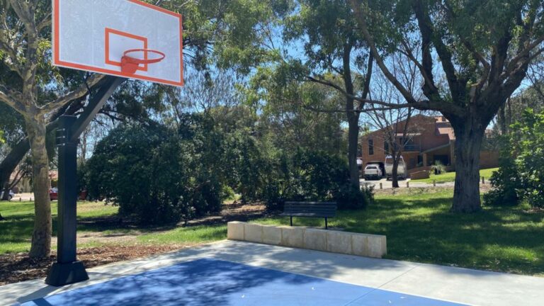 Braden Park basketball ring to be removed following noise complaints, despite strong community opposition