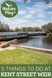 5 Things to Do at Kent Street Weir by Nature Play WA