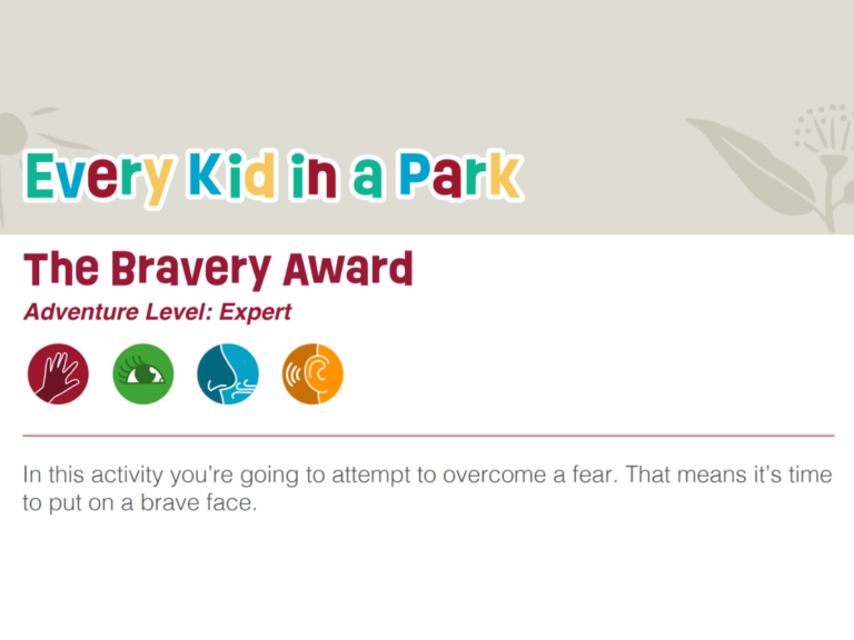 Activity Sheet: The Bravery Award