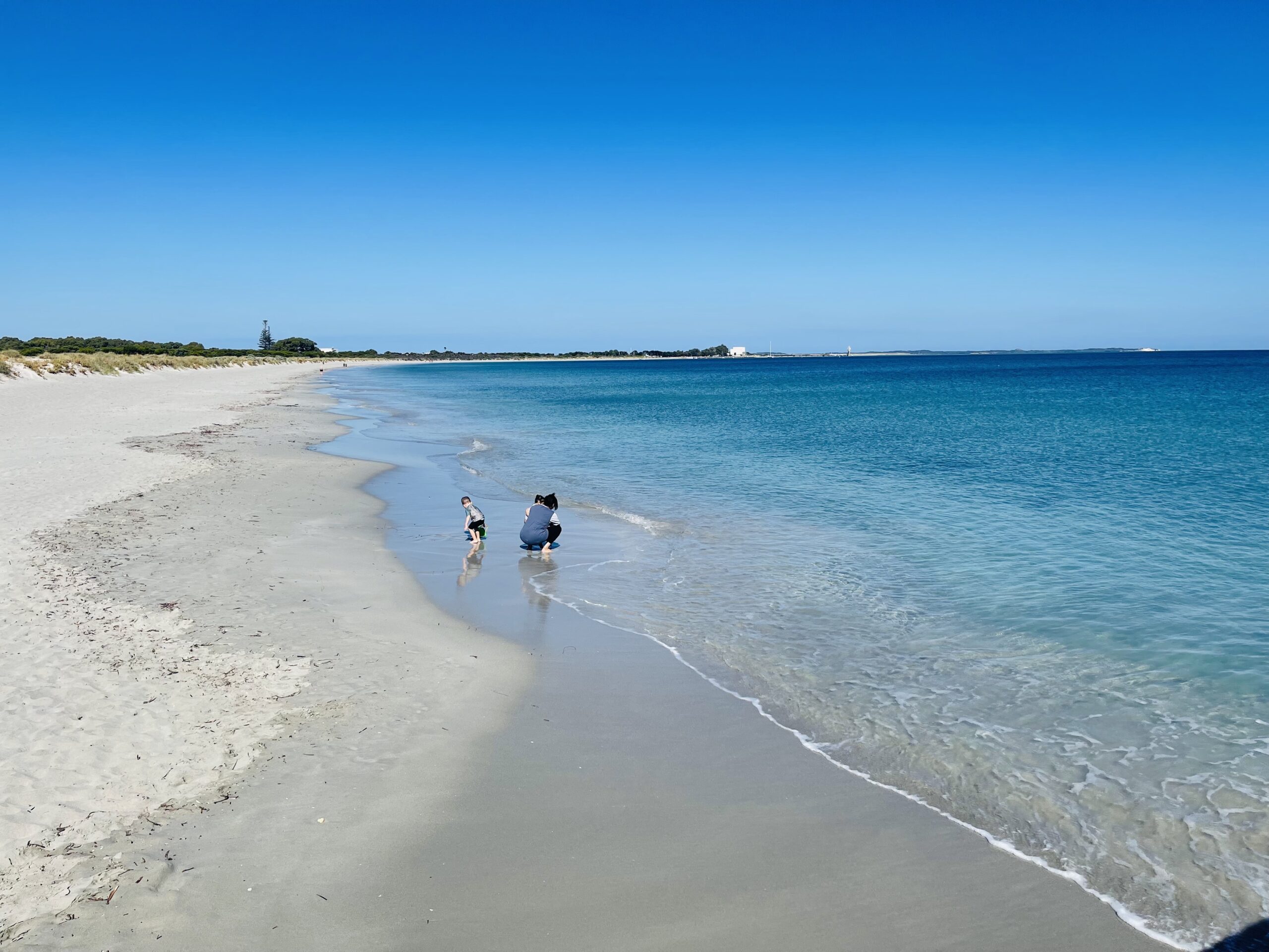 This photograph shows the white sand coastline of Woodman Point beach, where a mum with her two small kids play in the shallow water. The water is clear, and blue in colour ranging from light to dark. The coast line is surrounded by sand dunes with green shrubbery. The sky above is clear and blue.