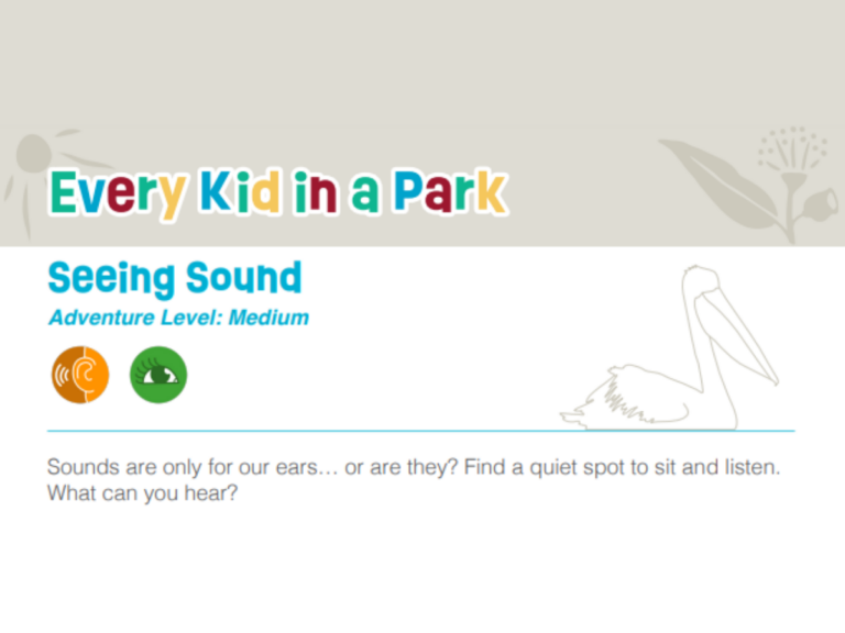 Activity Sheet: Seeing Sound
