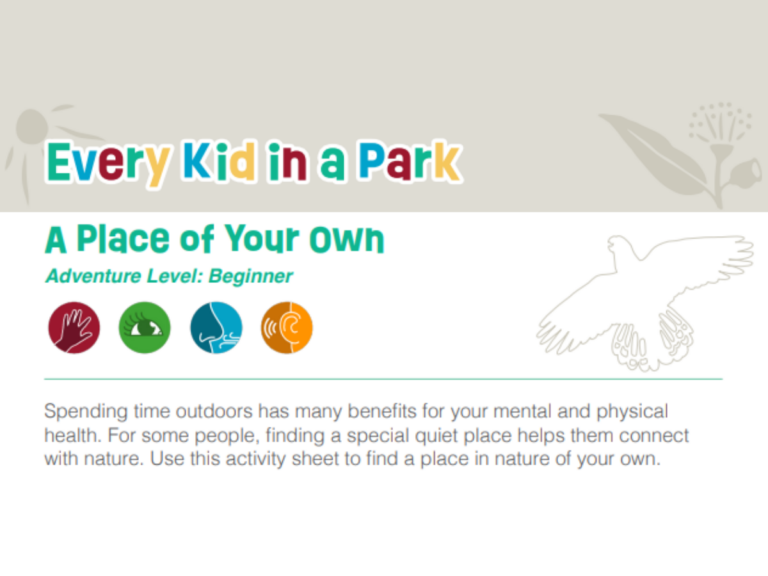 Activity Sheet: A Place of Your Own