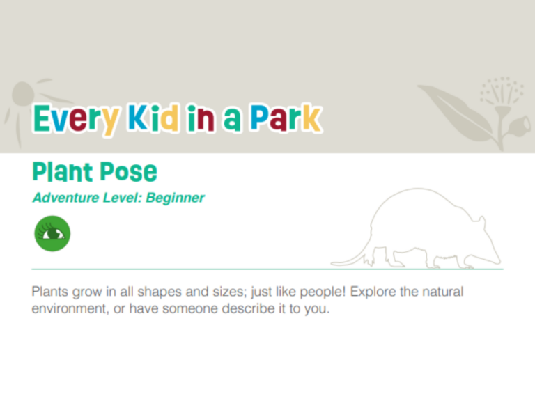 Activity Sheet: Plant Pose
