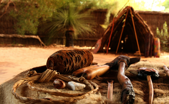 In the foreground of the image, Aboriginal tools are laid across some skinned animal fur. In the background of the image is a small shelter made of branches, as well as a grass tree.