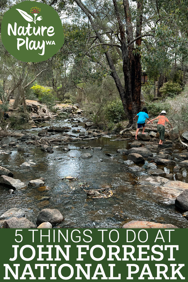 5 Things to Do at John Forrest National Park
