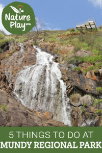 5 Things to do at Mundy Regional Park