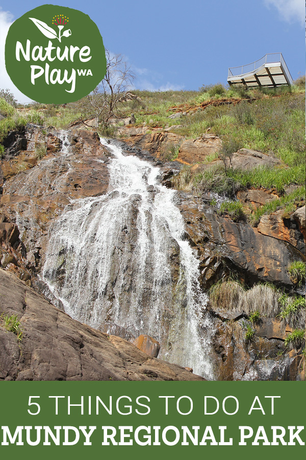 5 Things to do at Mundy Regional Park