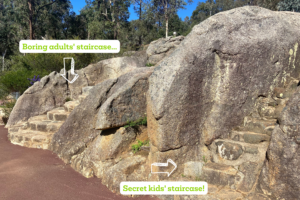 A photograph of two large boulders at John Forrest National Park. The one closest to the camera has a small, narrow staircase carved into it. The one further away has a wider staircase built into it. Text over the image reads "BORING ADULTS' STAIRCASE" with a graphically drawn small white arrow pointing to the wider staircase. More text reads "SECRET KIDS' STAIRCASE" with another arrow pointing to the narrow staircase,