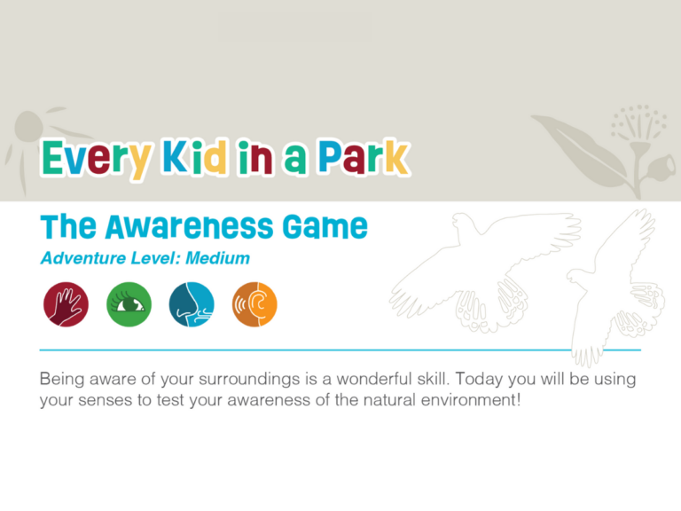 Activity Sheet: The Awareness Game