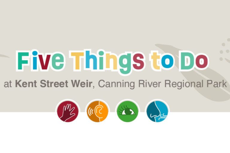 Five Things to Do at Kent Street Weir
