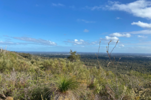 A photo of the view from a very high point at Mundy Regional Park. The view is of the Perth landscape, looking south. The sky is blue with a few grey clouds, and green bushland takes up the foreground of the photo.