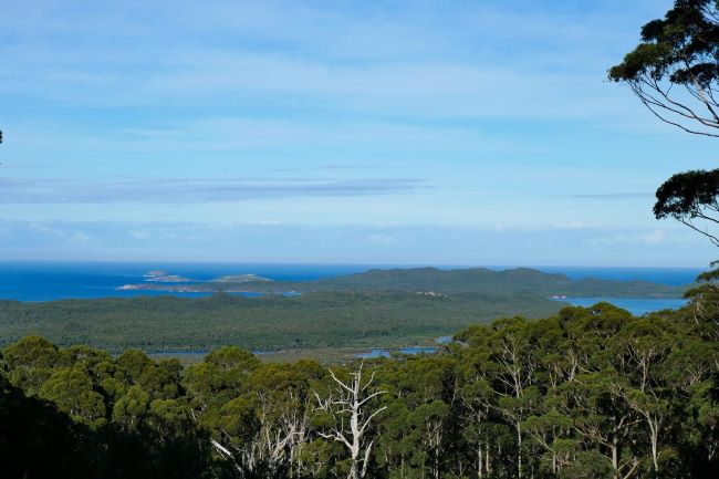 This photograph was taken at the Hilltop Lookout and shows views of the Nornalup Inlet in the distance, with forest in the foreground, and the Frankland River flowing in between. The view is seen through a canopy of trees, with the blue ocean in the distance. The ocean is calm and is a crisp blue. The sky above is blue, with streaks of grey clouds.