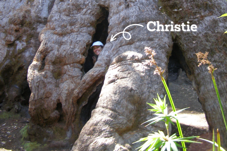 Insider Info: Plan your trip to Walpole-Nornalup National Park with expert advice from Senior Ranger, Christie Bentink!