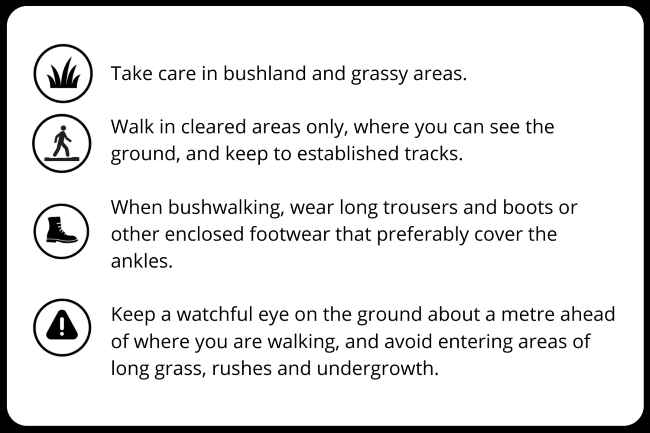 This image shows a list of four snake safety tips. Each tip is accompanied by a decorative circular icon. The first point reads: “Take care in bushland and grassy areas.” The second point reads: “Walk in cleared areas only, where you can see the ground, and keep to established tracks.” The third point reads: “When bushwalking, wear long trousers and boots or other enclosed footwear that preferably cover the ankles.” The fourth point reads: “Keep a watchful eye on the ground about a metre ahead of where you are walking, and avoid entering areas of long grass, rushes and undergrowth.”