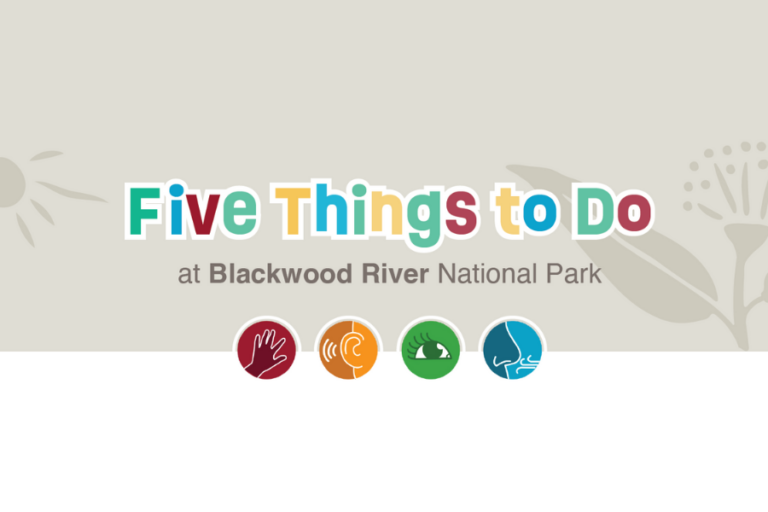 Five Things to Do at Blackwood River National Park