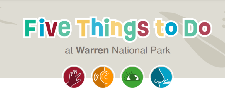 Five Things to Do at Warren National Park