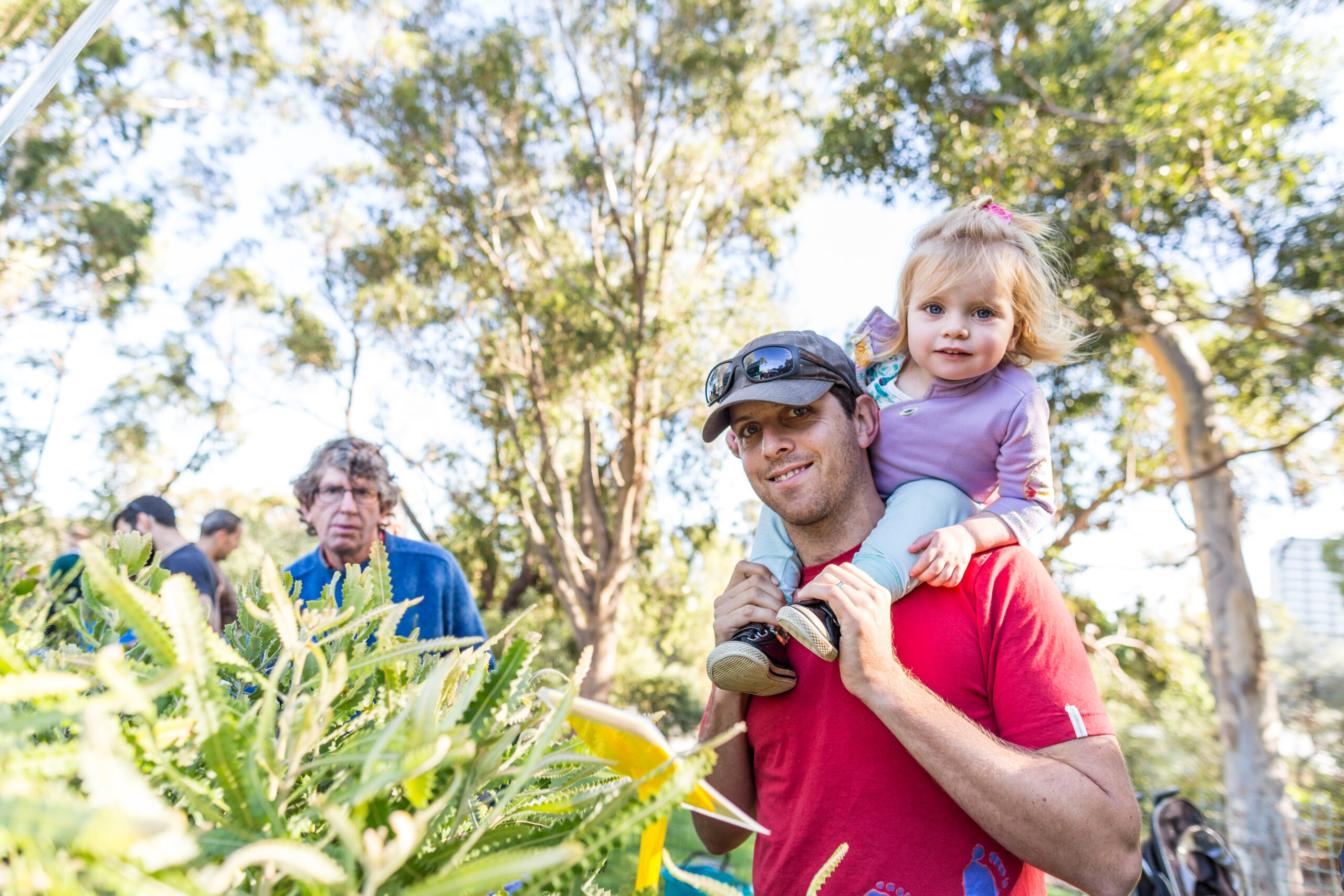 This photograph shows a family on a walk trail at Kings Park. Three (3) people are looking towards the camera, and the person closest to the camera is holding a small child on their shoulders. They are standing in front of a green banksia bush. Tall trees surround the area, with cream coloured trunks and green foliage. The sun appears to be white and is seen through the trees.