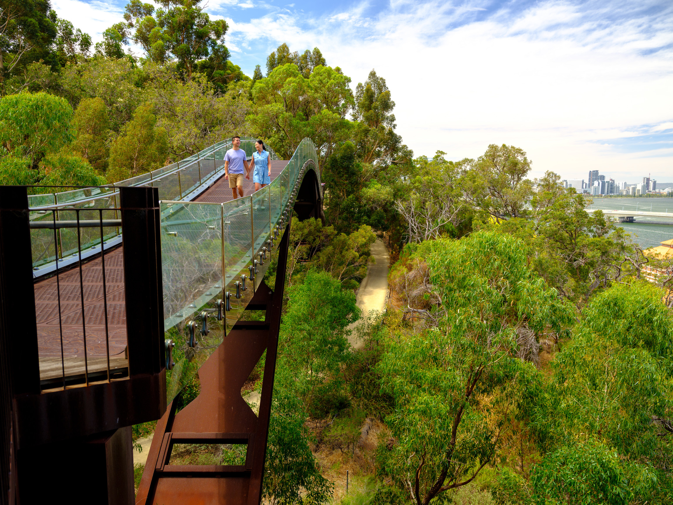 This photograph shows two (2) people walking across the steel bridge along the Lotterywest Federation Walkway. They are walking towards the camera and are holding hands. The side barriers of the bridge are glass, and the base is red/brown steel. A flat, cream-coloured walk path can be seen below the bridge which is placed amongst a thick green forest. The city skyline and the Swan River can be seen on the right. The sky above is full of white clouds with some patches of blue.