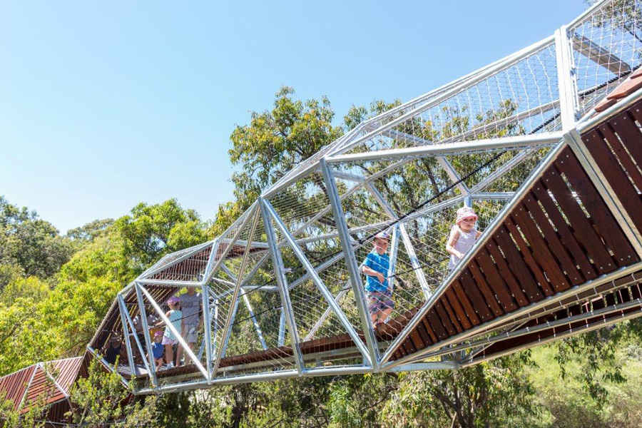 This photograph shows an aerial walkway that was built through and over green trees. The walkway has a brown wooden path. The beams and netting of the structure are grey, with some parts featuring brown wood panels. Children are on either side of the walkway, with two (2) kids walking toward the right and looking at the camera. The blue sky can be seen above the structure and tree foliage.