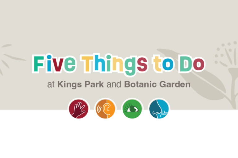 Five Things to Do at Kings Park and Botanic Garden
