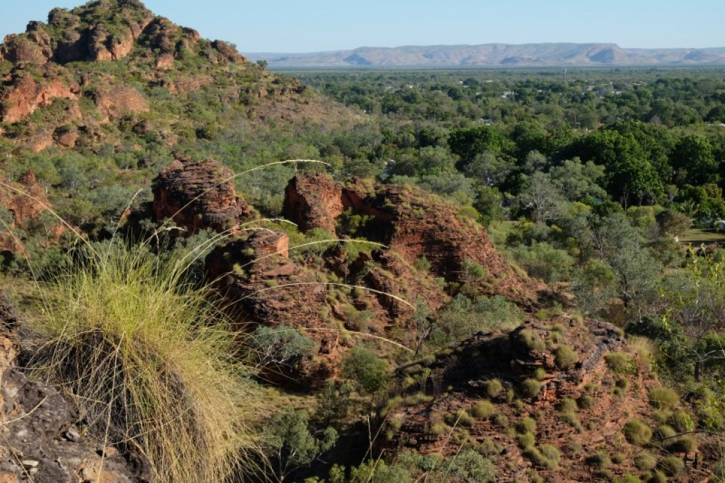 This photograph shows the natural environment in Mirima National Park, with red, brown and cream rocks, and plants and shrubbery that are mostly green in colour. The sky is blue and can be seen above the mountainous landscape in the distance.