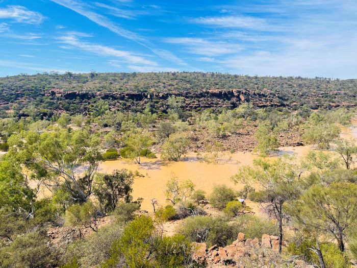 This photograph was taken at Ross Graham Lookout and shows the brown-coloured Murchison River. The river is high due to recent rain, with the tops of some trees seen just above the water level. Green plants and trees surround the area, which is also covered with brown, cream and red rocks. The sky above is mostly blue with streaks of white clouds.