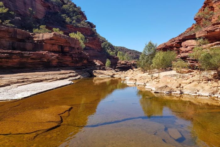 This photograph was taken on the edge of the Murchison River. The water is light brown in colour and is clear, showing the rocky and uneven surface below. A rocky gorge wall creates a border on each side of the river. The rocks are red and cream in colour with green trees. The sky is seen above the river and through the gorge and is light blue in colour.