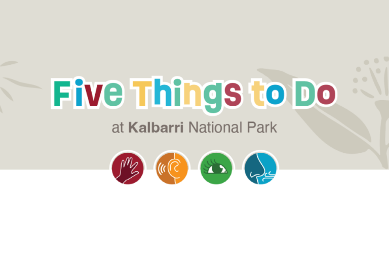 Five Things to Do at Kalbarri National Park
