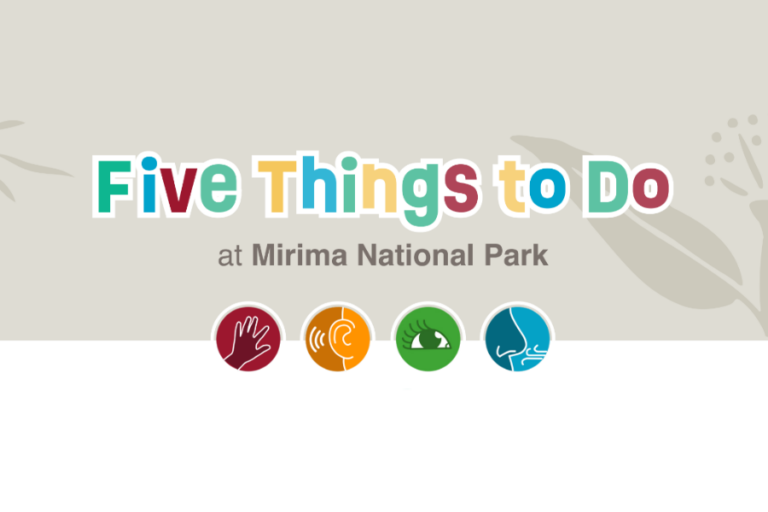Five Things to Do at Mirima National Park