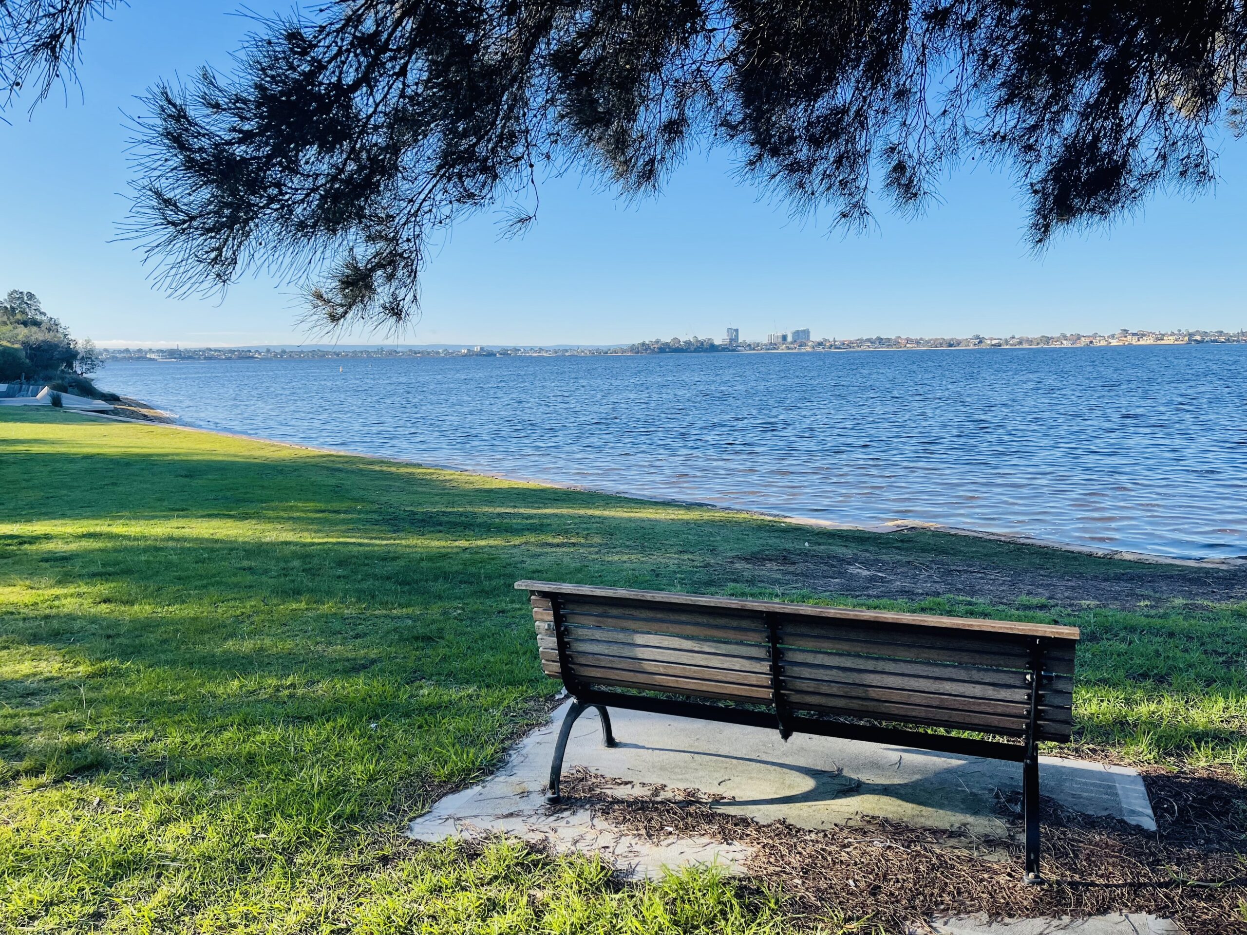 A photo of a park bench at Matilda Bay reserve. The bench is made of timber and steel, and sits on an open area of green grass on the bank of the Swan River. The river water is a bright blue, as is the sky above. The canopy of a tree can be seen in the top half of the photo, and shades the bench below.