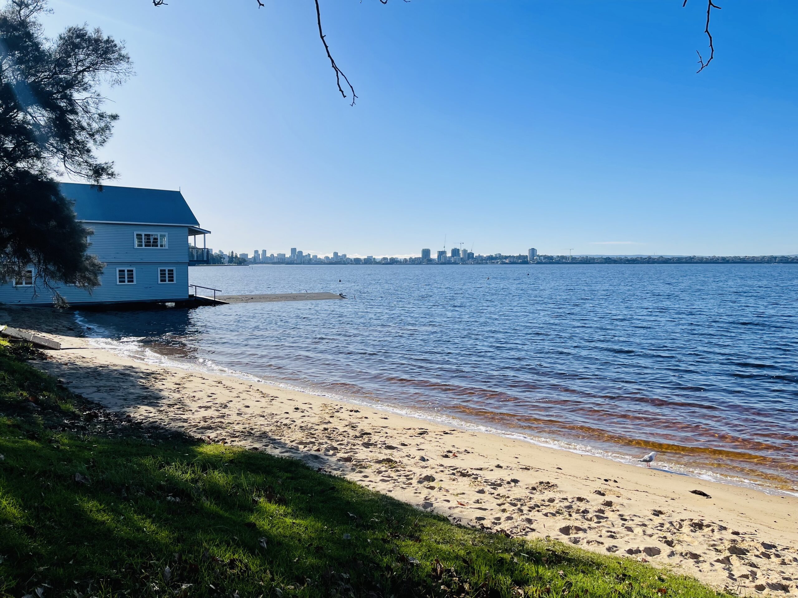 A photo of the bank of the Swan River at Matilda Bay Reserve. Green grass leads to yellow sand, which leads to the river’s edge. A two-storey building sits on the edge of the water to the left of the image. The sky above is bright blue and clear.