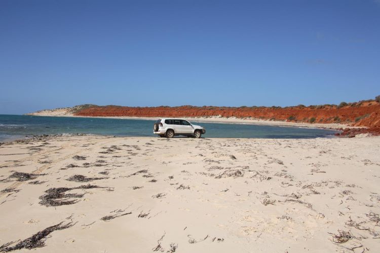 A photo of a white four-wheel-drive on a beach in Francois Peron National Park. The blue ocean can be seen behind the car, and the iconic red cliff face of Cape Peron can be seen in the distance. The sky above is bright blue and clear.