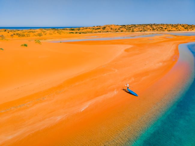 A photo taken by a drone at Big Lagoon in Francois Peron National Park. Bright orange sand/dirt makes up most of this image. It is flat and bare in the foreground, and slopes upwards to form a dune in the midground. The dune is sparsely covered by small green shrubs. To the right of the image, the sand gives way to the turquoise ocean, and a person can be seen pulling a kayak out of the water.  
