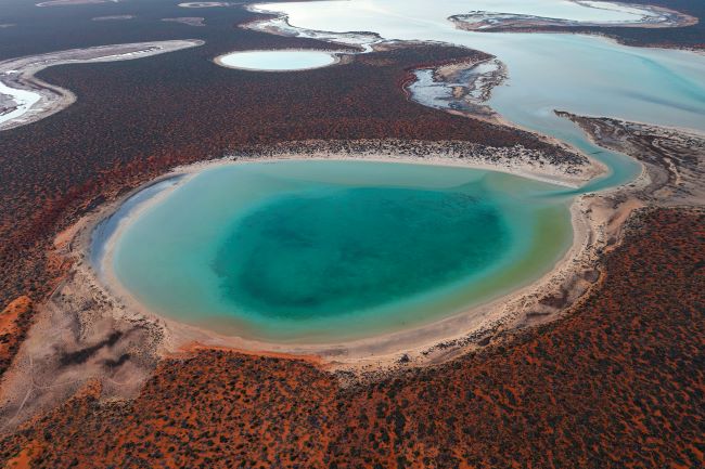 A photo of Big Lagoon in Francois Peron National Park, taken from very high up by a drone. The lagoon is a large, circular, turquoise-coloured body of water. A small opening at one end of the lagoon forms a channel that meets the ocean. The lagoon is surrounded by dark green coastal shrubs and bushes, and red dirt.