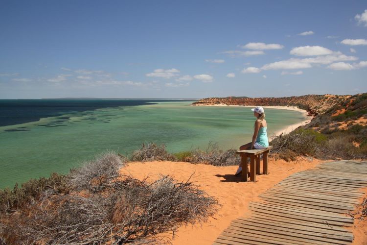 A photo of a person sitting on a wooden bench atop a sand dune in Francois Peron National Park. The bench sits beside a flat path made of wood planks. The path and bench are surrounded by orange sand and green and grey coastal shrubs. The white sand beach and turquoise water can be seen below. The sky above is blue and mostly clear.