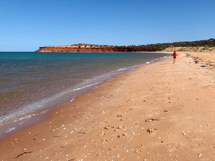 A photo taken on the beach at Cape Peron. The light brown-orange sand on the right slopes downwards to meet the flat, clear ocean on the left. A child walks away from the camera along the beach. The land curves to the left in the distance to form a point, atop which sits a red-coloured cliff. The sky above is clear and blue.