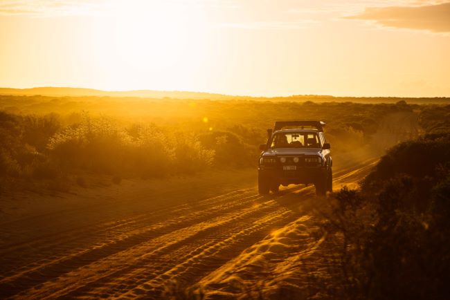 A photo of a four-wheel-drive car on an unsealed road in Francois Peron National Park. The road is made of dirt, and is very bumpy. Coastal shrubs and bushes surround the road and the car. The sun is casting a warm orange glow over the landscape, making it hard to see much colour.