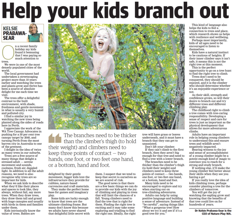 Helping your kids to explore nature-play and the fun in tree climbing